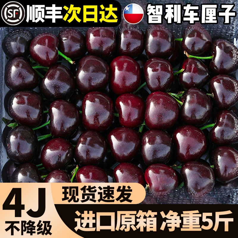 【5斤原箱】智利车厘子空运桑提娜整箱顺丰新鲜礼盒J 内附果径卡
