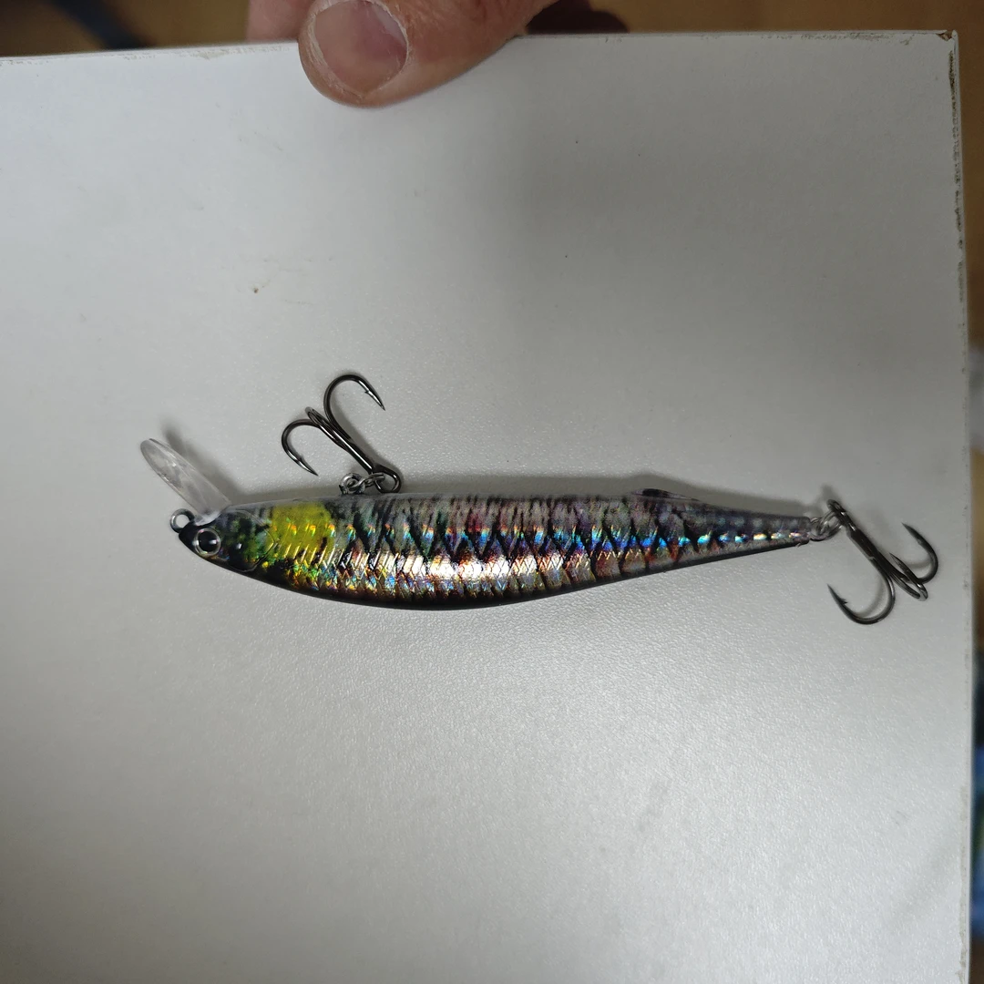 鱼饵自选大型礼包老板娘亲自装箱送送送。送到满意为止