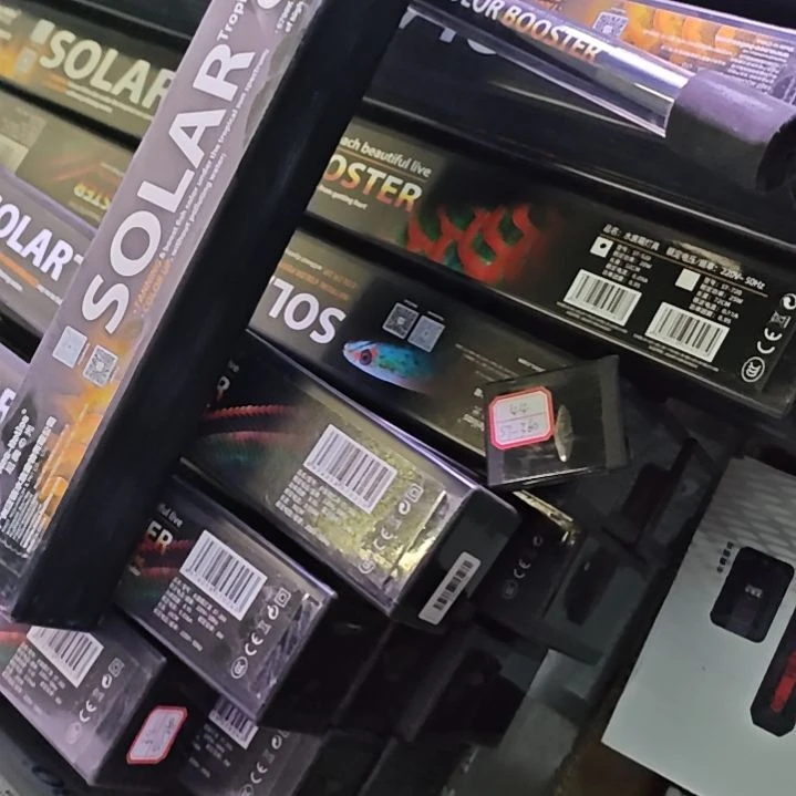 海水鱼St 520, 尼奥潜水曾艳灯。