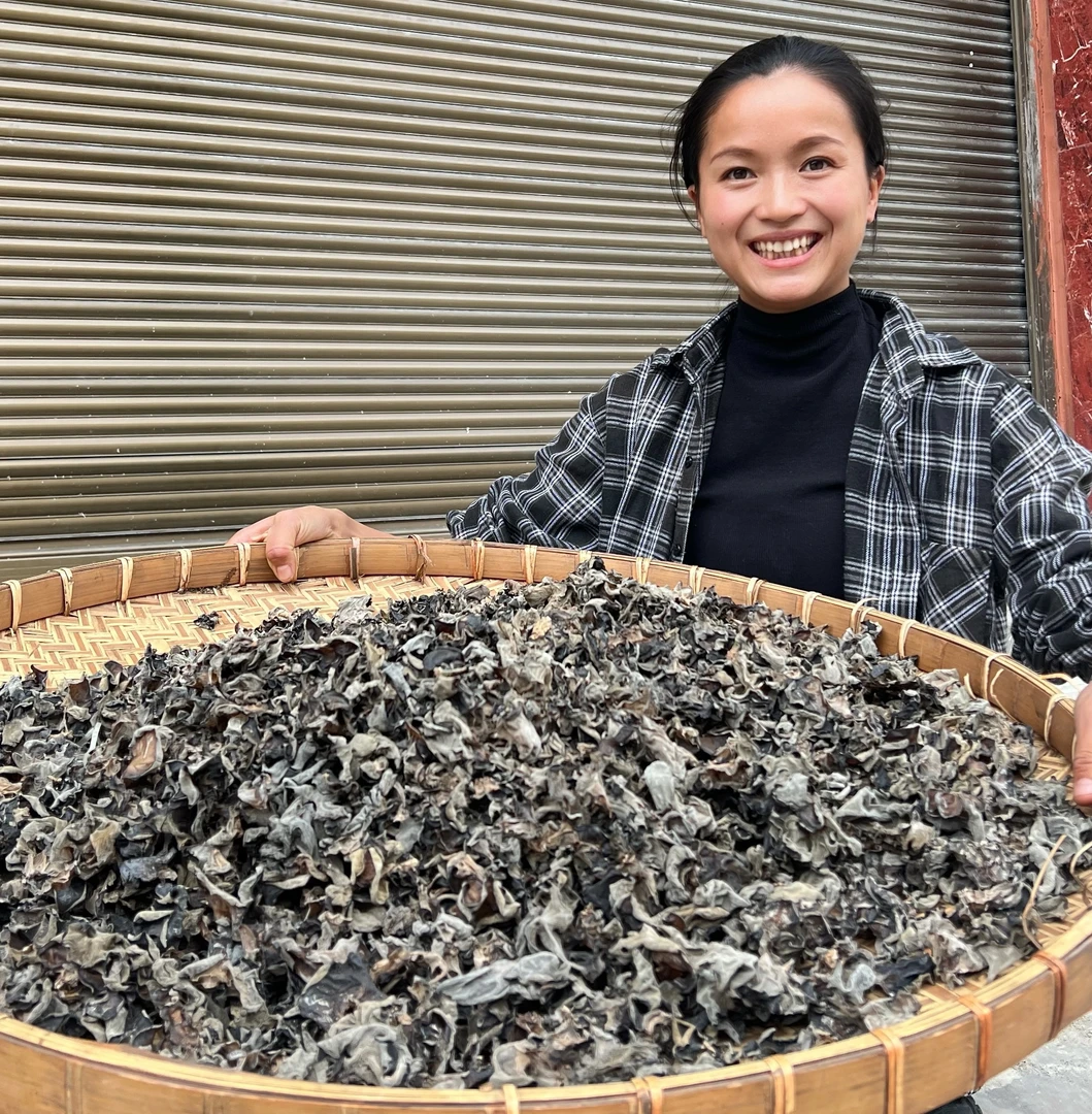 西藏野生黑木耳西藏发货