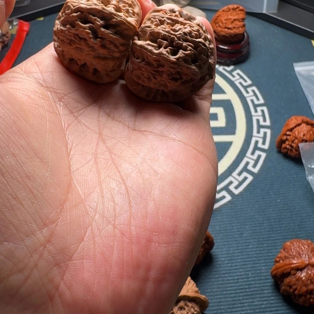 大叶紫檀（黑酸枝木类）