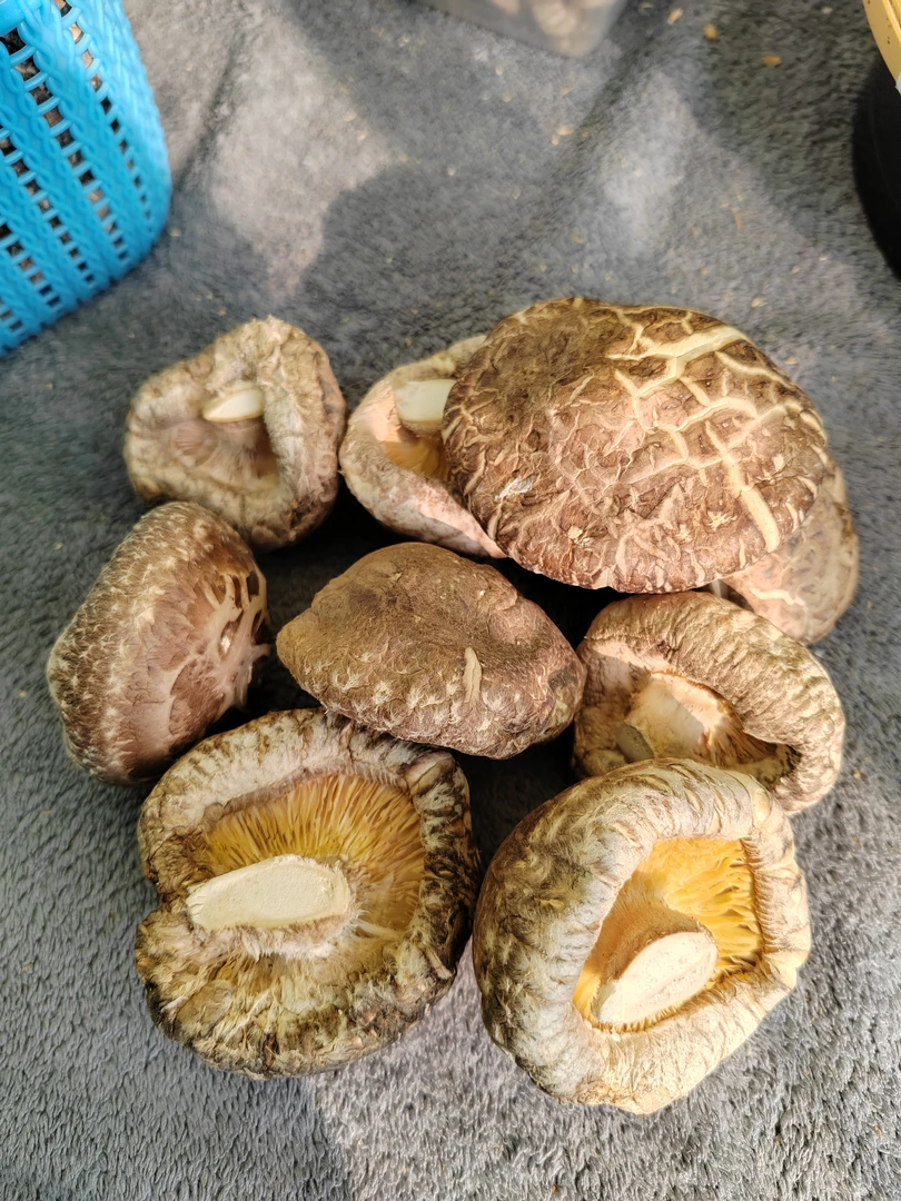 厚菇冬菇干货口感爽滑脆嫩剪根干香菇