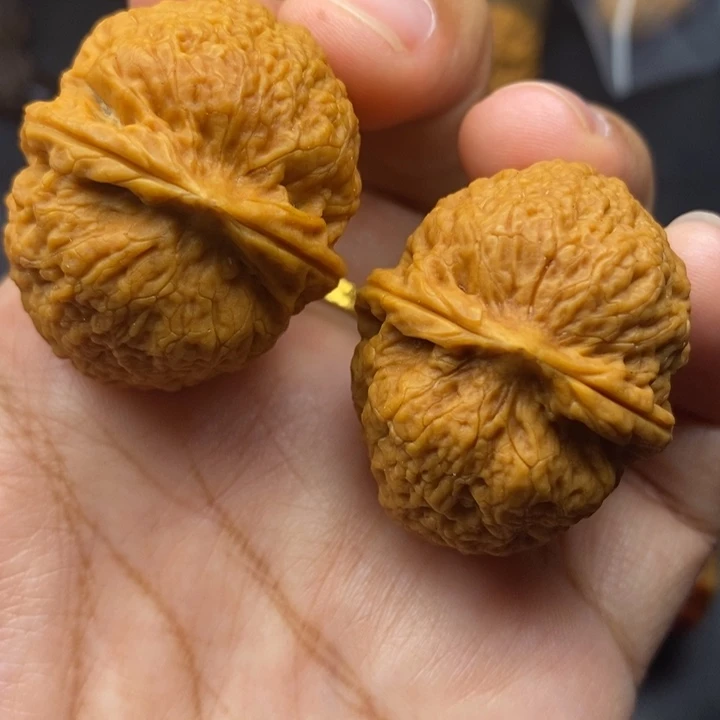 把件文玩核桃37尺密纹元宝