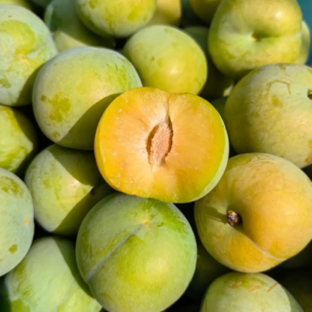 贵州正宗六马蜂糖李40枚40-45mm