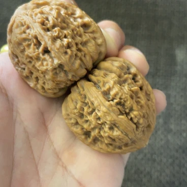 吊坠桃核南疆核桃 边肚高40