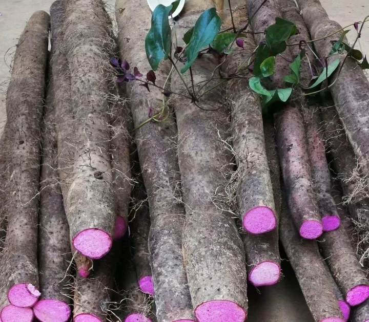 【1】云南正宗紫山药新鲜蔬菜非铁棍怀山紫色大薯脚板薯整箱包邮