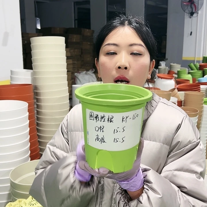 正品圆控口15.5高15.5果绿色10只无托