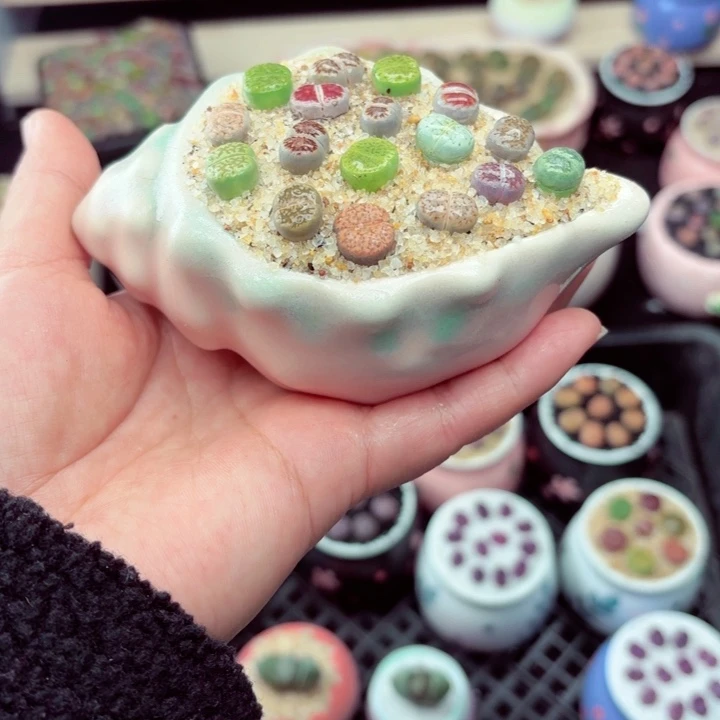 581零下地区记得拍保温箱