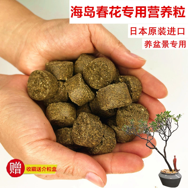 海岛春花专用营养粒长效有机缓释介质日本原装进口天然发酵颗粒
