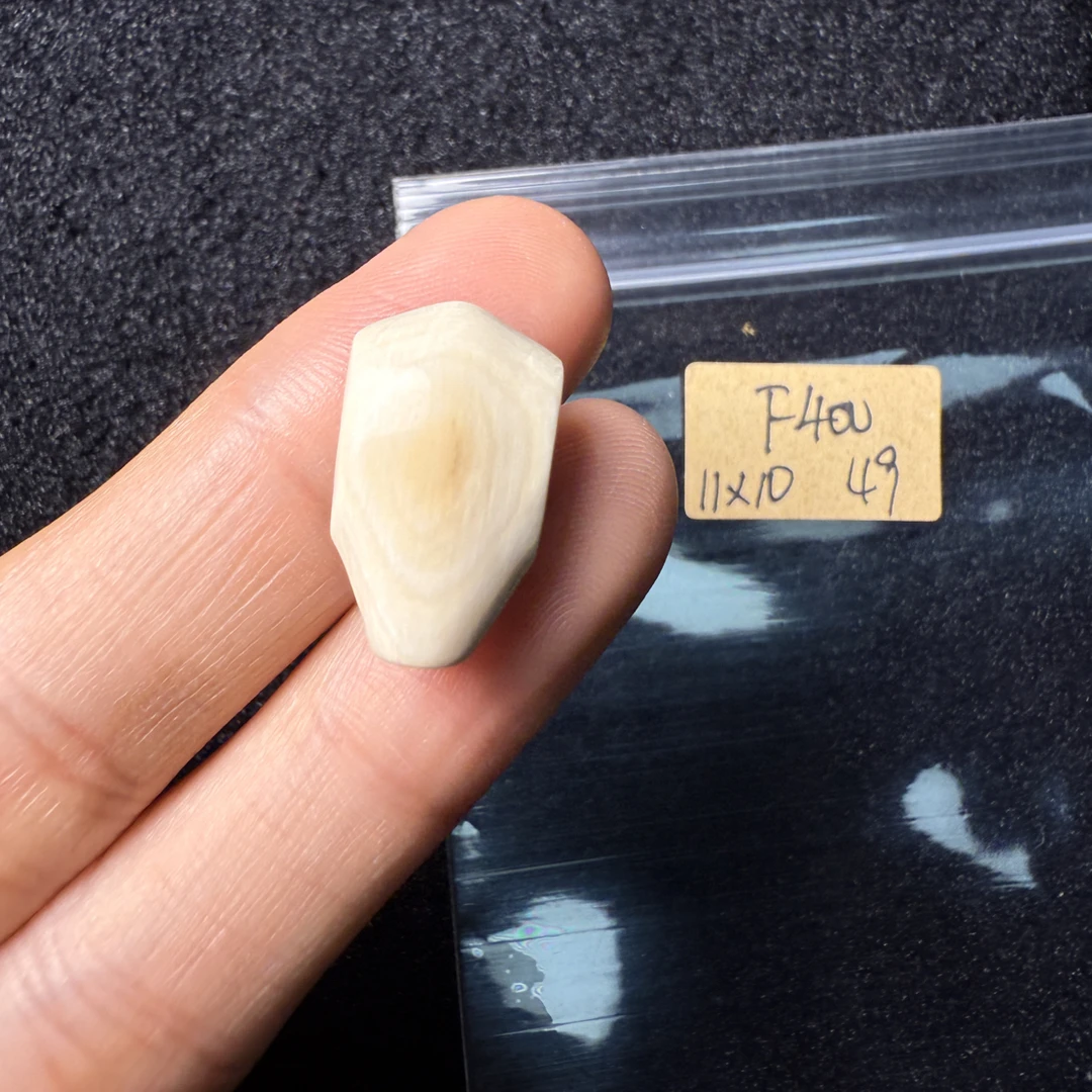 F400猛犸象牙对孔11*10mm鲨鱼背三通果冻料