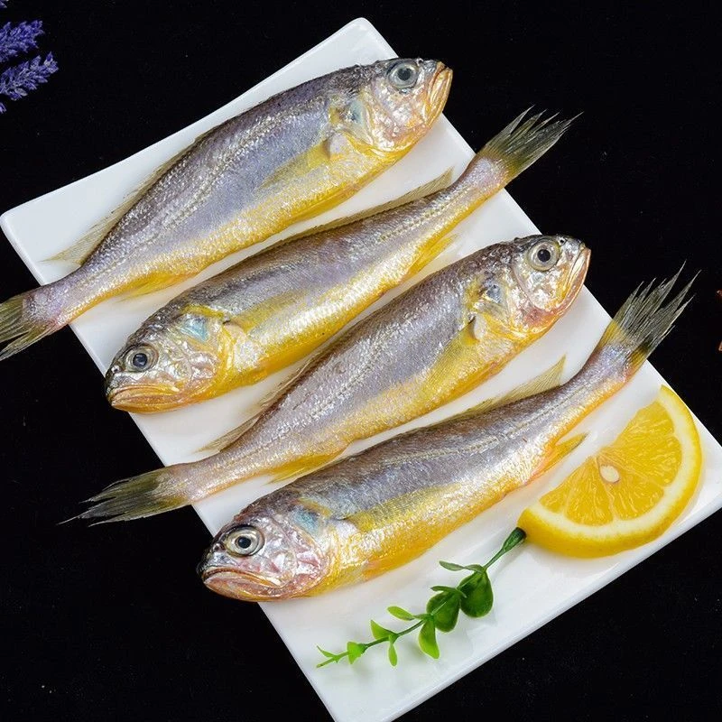 新鲜野生海捕小黄花鱼10-11条1斤到手5斤顺丰冷链冰鲜保护
