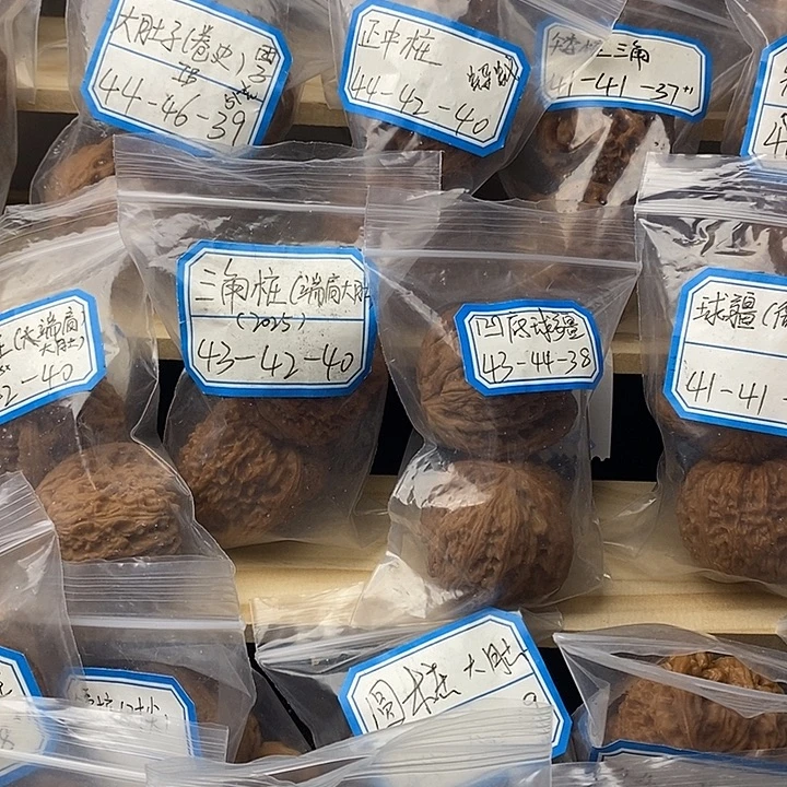 —***-全品无修不带运费险