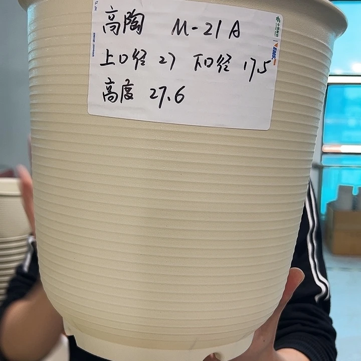 正品高陶口27高27米色4只无托