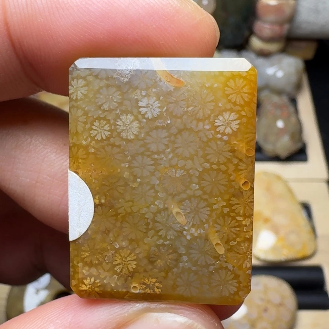硅化玉未镶嵌纯天然色有机玉石保真色