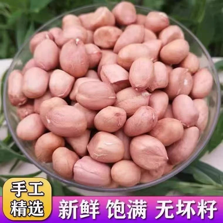 【拍一发三】脱壳花生农家自种大花生去壳