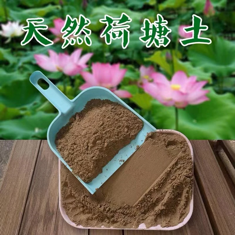 【主播推荐】荷塘泥莲铜钱草水竹天然水生植物家庭水培种植土营养土