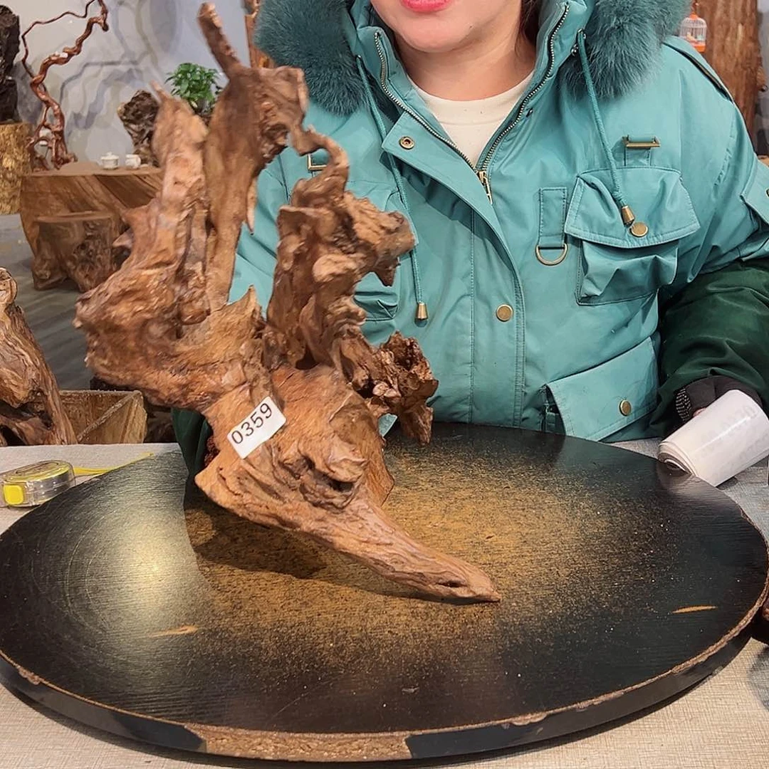 木成****囍359 hbhvjghhjhjb