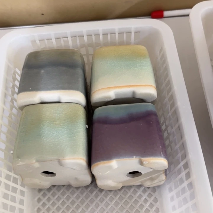 花盆花盆花盆花盆