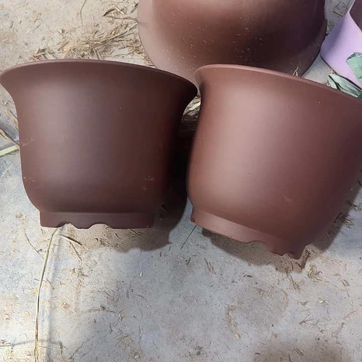 20×15两只开播福利价