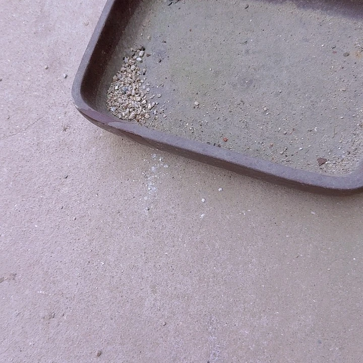 紫砂花盆花盆花盆a 5