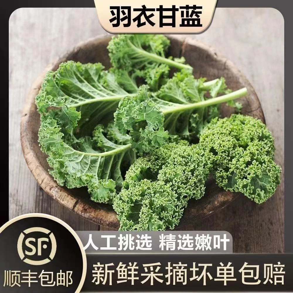 {顺丰冷链}新鲜羽衣甘蓝嫩叶可榨汁可做西餐沙拉的健身轻食蔬菜