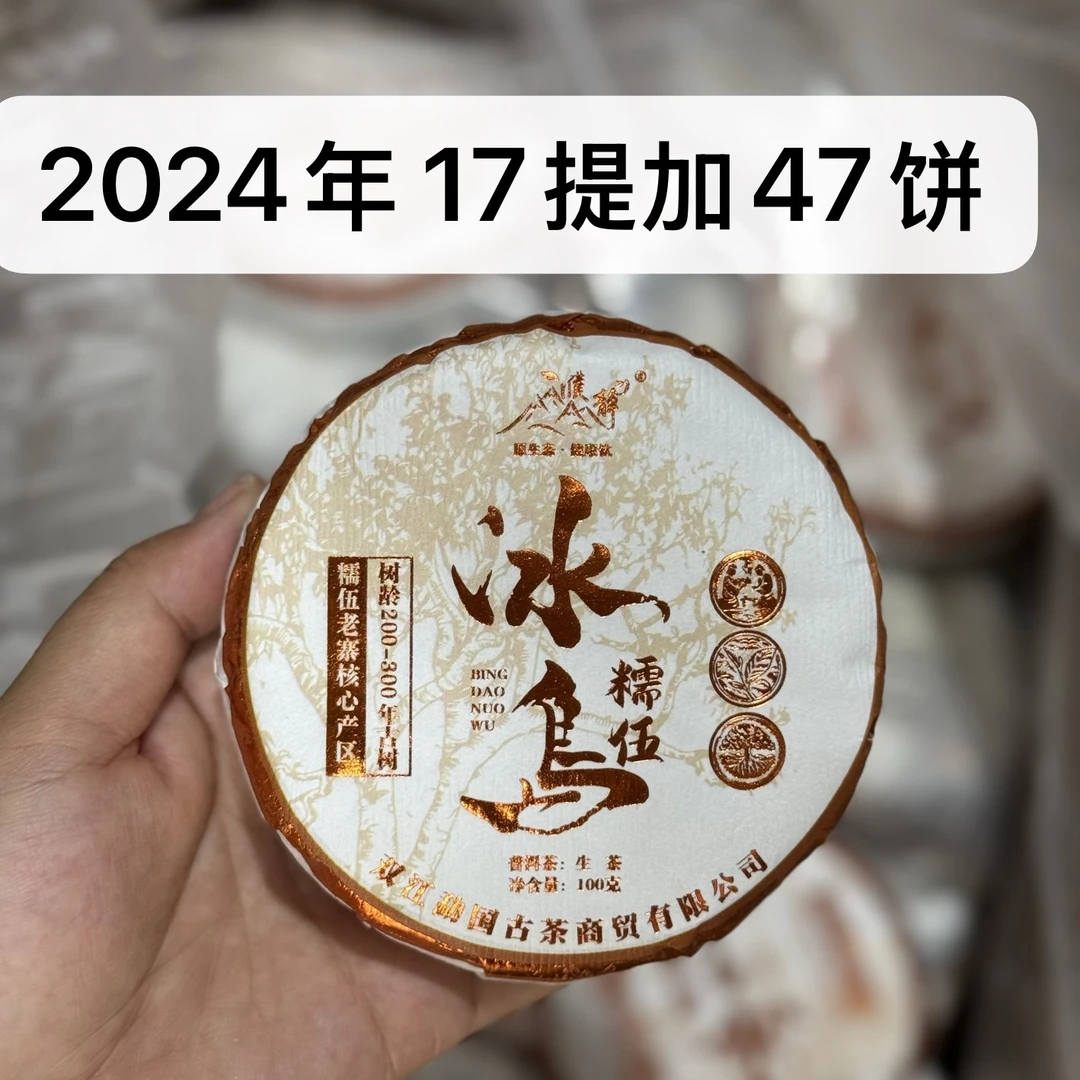 濮静【孤品26提】2024年/冰岛糯伍200-300年古树/100克饼