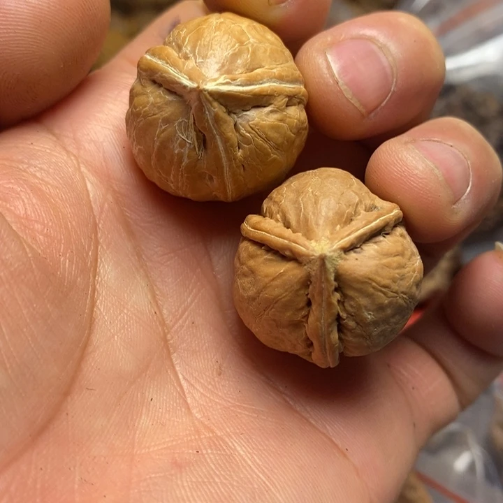 桃核吊坠东北特产141