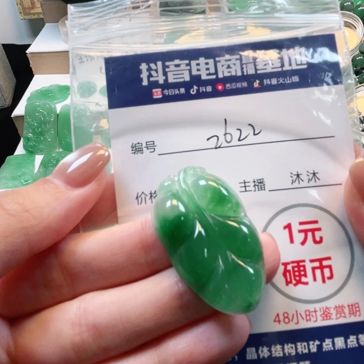 石英质玉未镶嵌颈饰