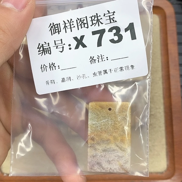 硅化珊瑚（珊瑚玉）颈饰未镶嵌玖*