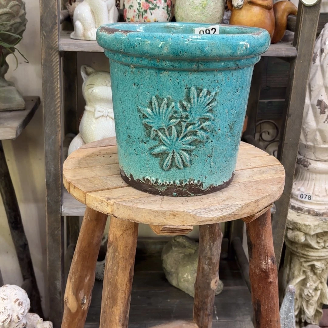 许纯的花房 大号蓝色香草