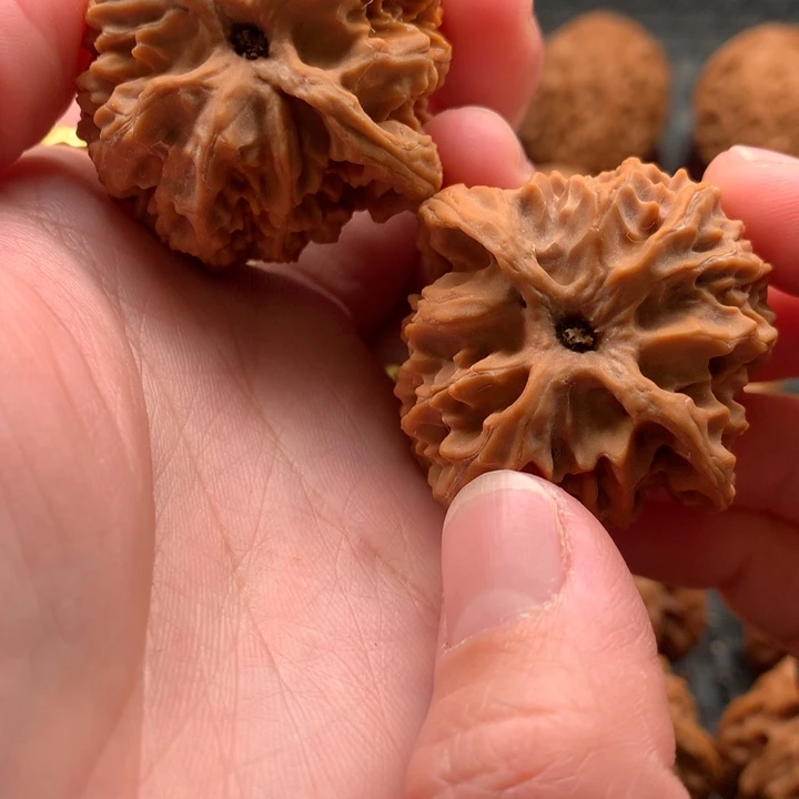 愚*福40苹果园狮子头文玩核桃