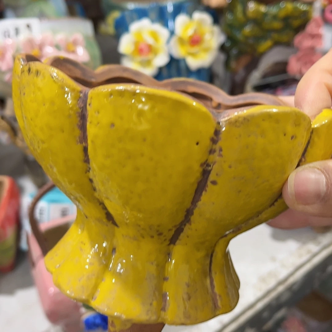 【闪购商品】红陶福利