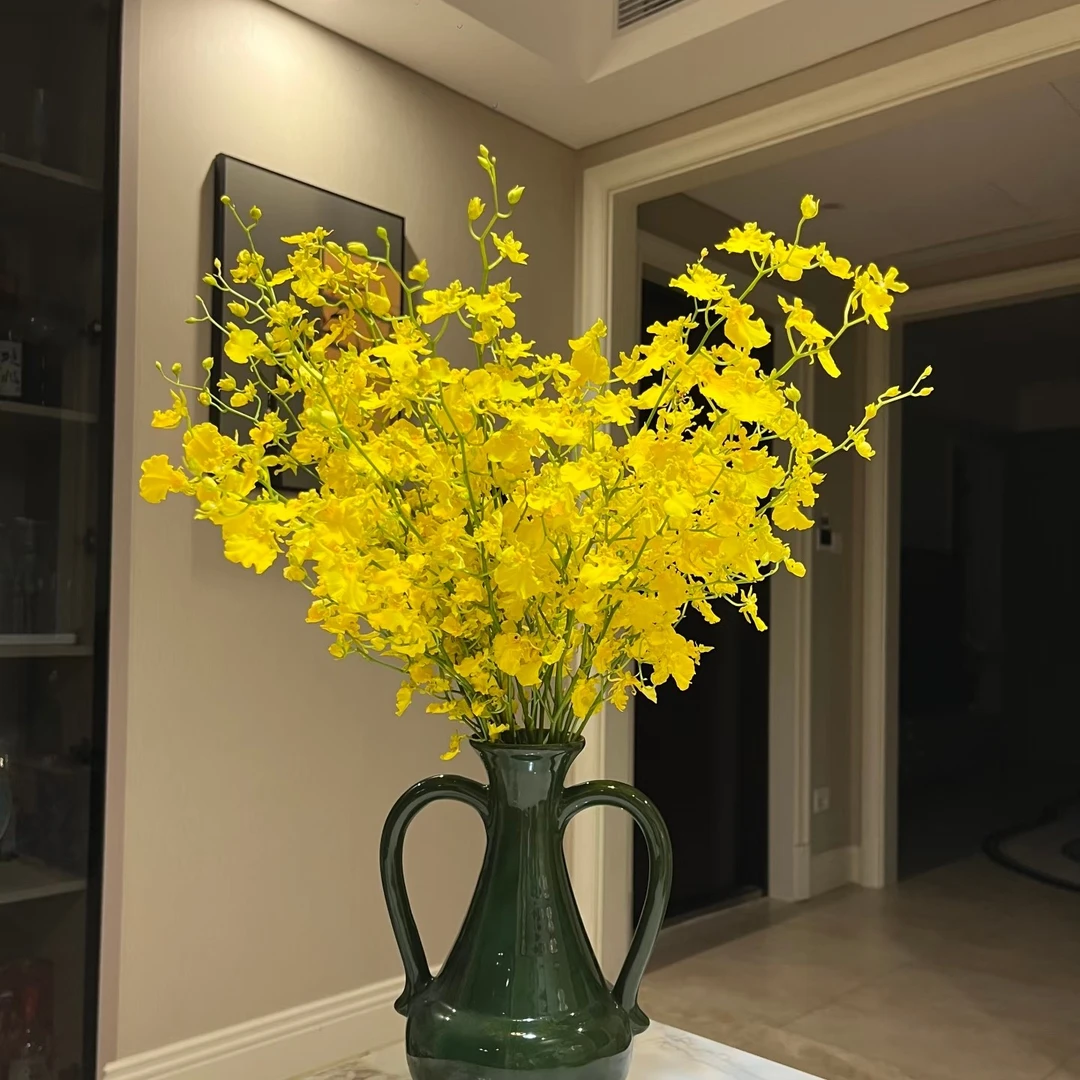 云南鲜花跳舞兰高级小众稀有水培鲜花花期长适合家养水养金合欢