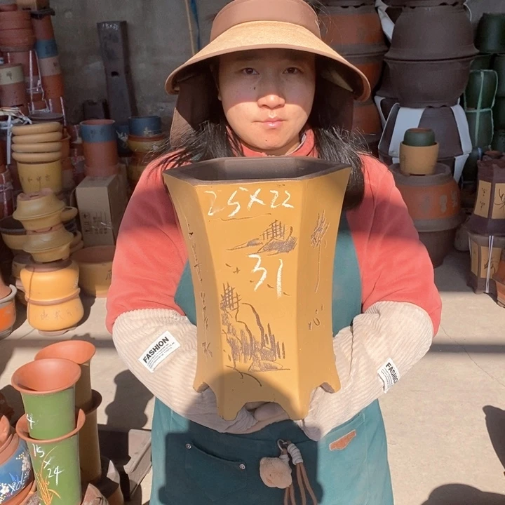 紫砂花盆盆栽花卉苗木种植