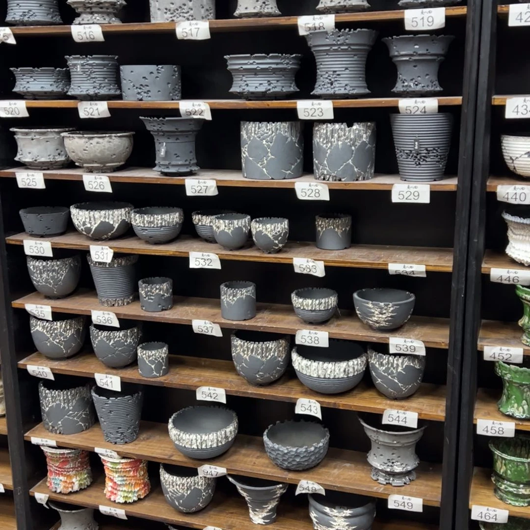 有喜欢的把编号打在公屏