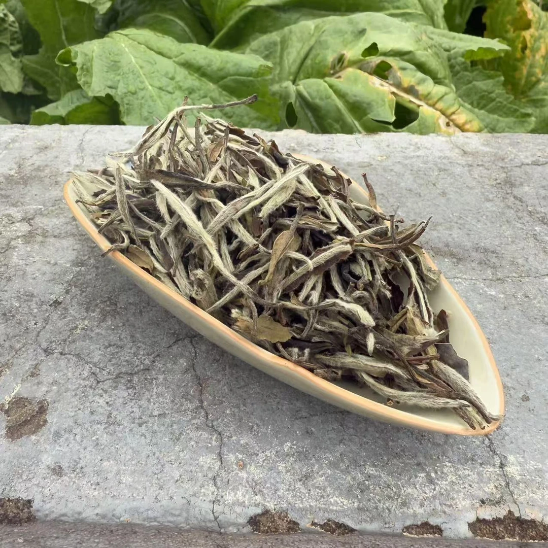 【鑫说】福鼎白茶--2017年黄岗荒野牡丹王散茶