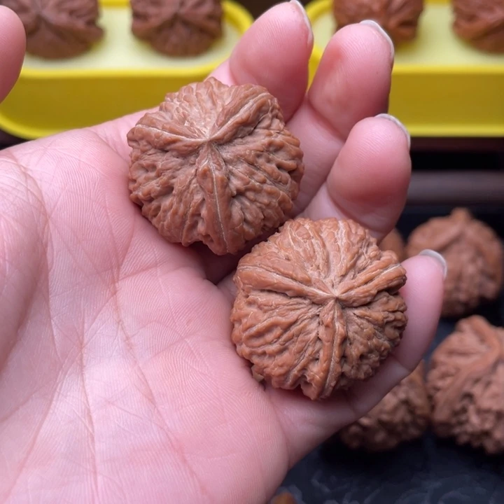 一***年核桃00000000秋子全品