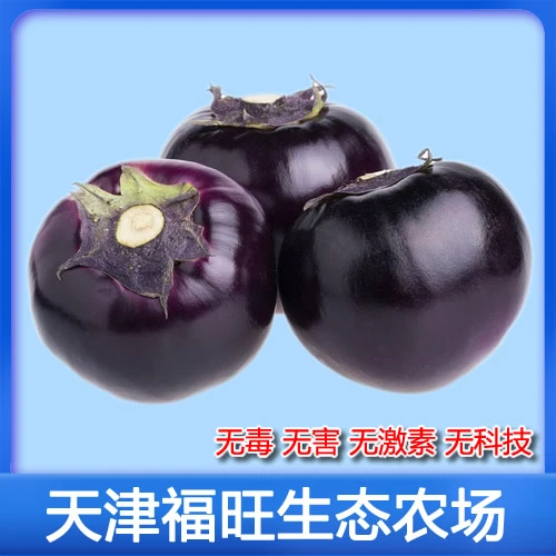 生态圆茄子6斤[绿心甜口]