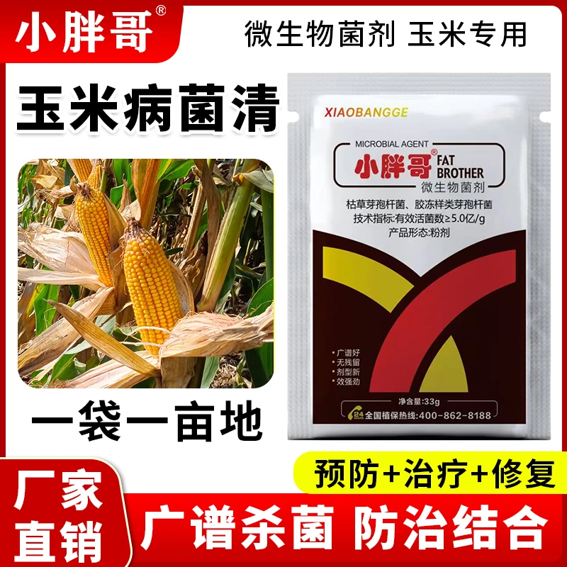 玉米专用药叶斑病黄叶枯萎烂根根腐烂杆锈病全清枯叶焦叶杀菌