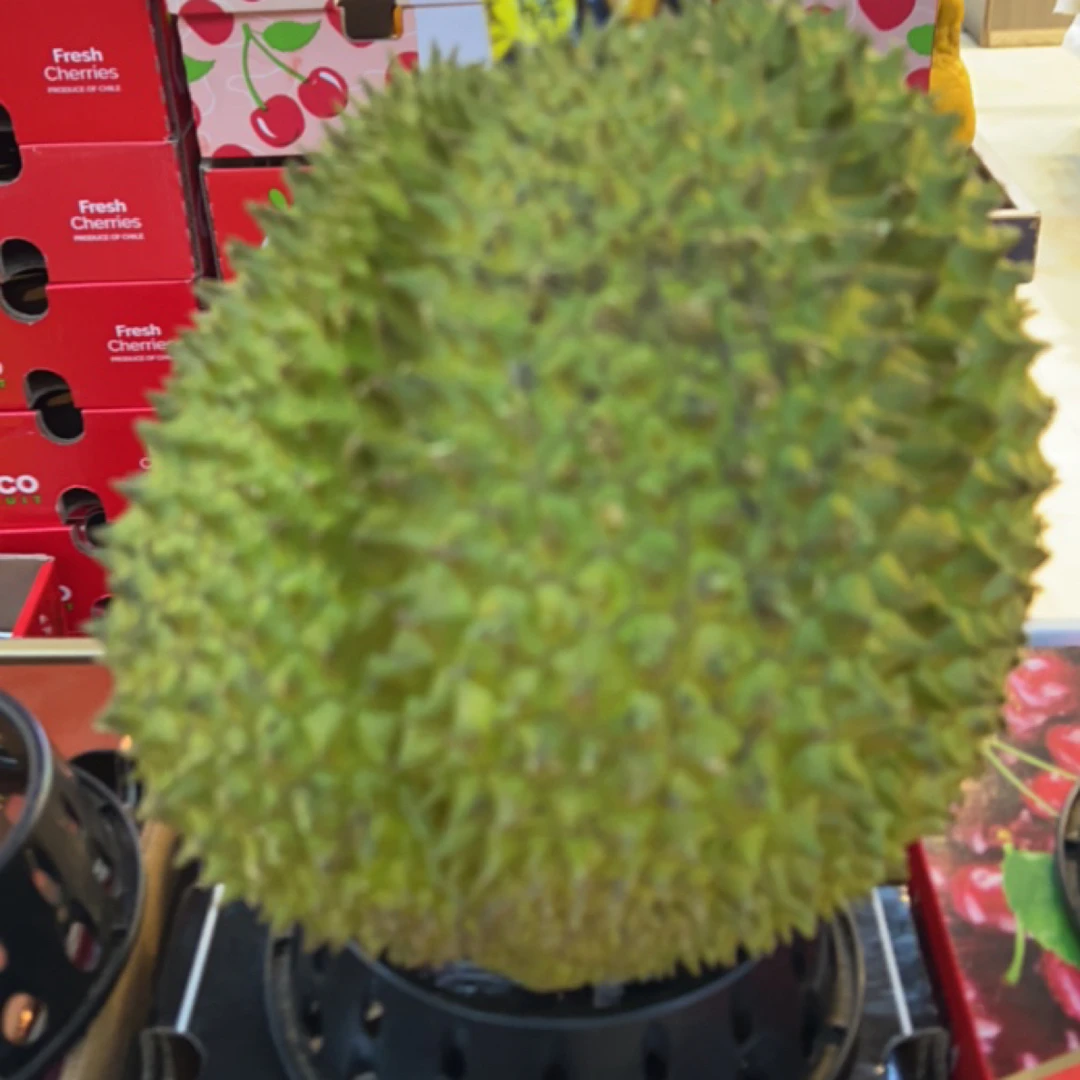 金枕榴莲金枕泰国