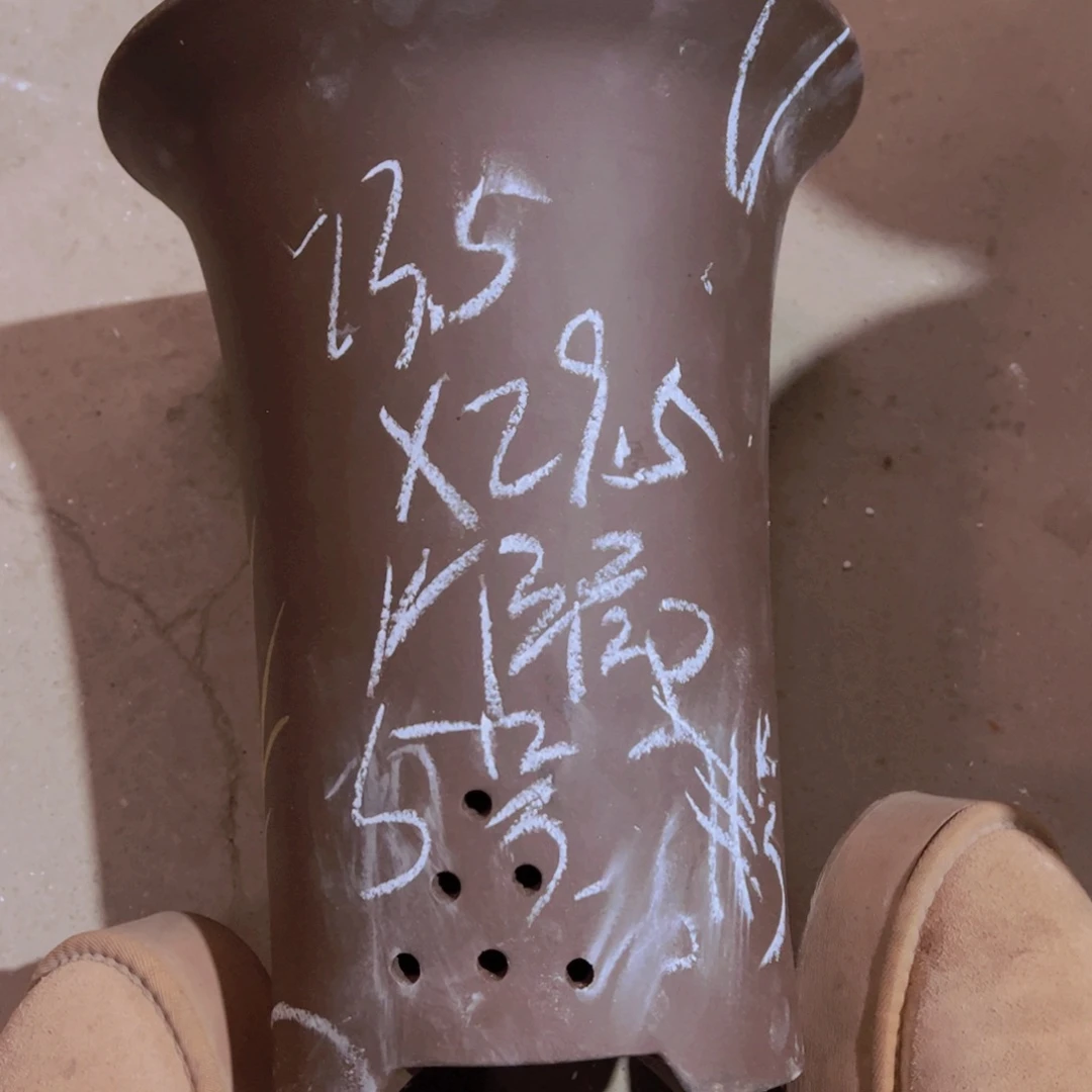 紫砂5号……………………………………