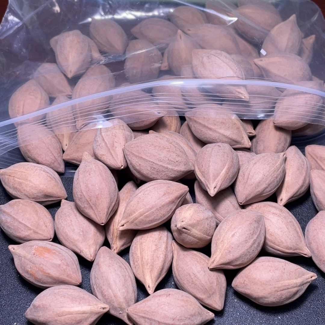 果***果橄榄核手串/手链不退不换