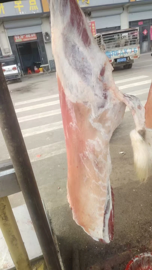 羊腿  10.2斤鲁西南农户散养小山羊