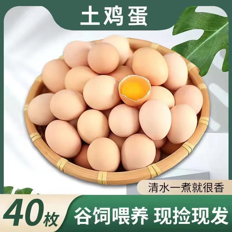 【胖丫家】山东新鲜散养土鸡蛋40枚/1600g  破损包赔