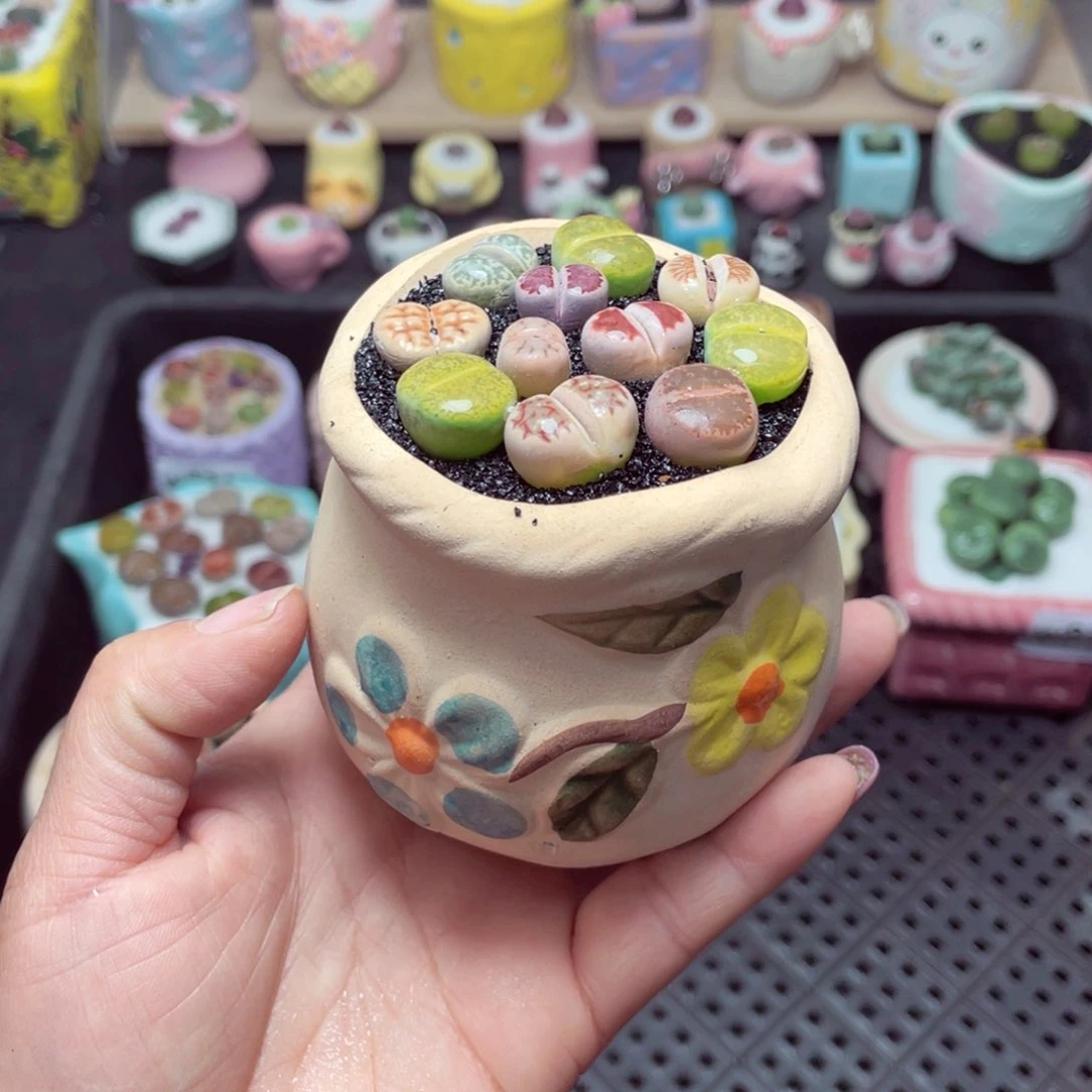 w8352 带盆土发货 -零下地区拍保温箱