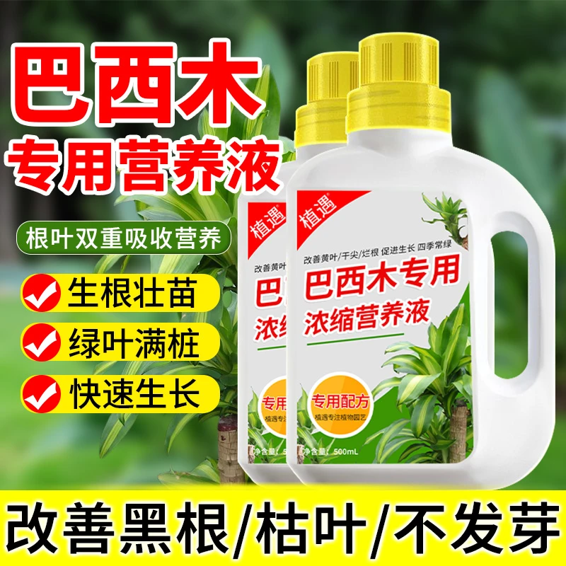 【巴西木专用营养液】水培促爆芽发芽促芽肥料防黄叶生根复合液体肥