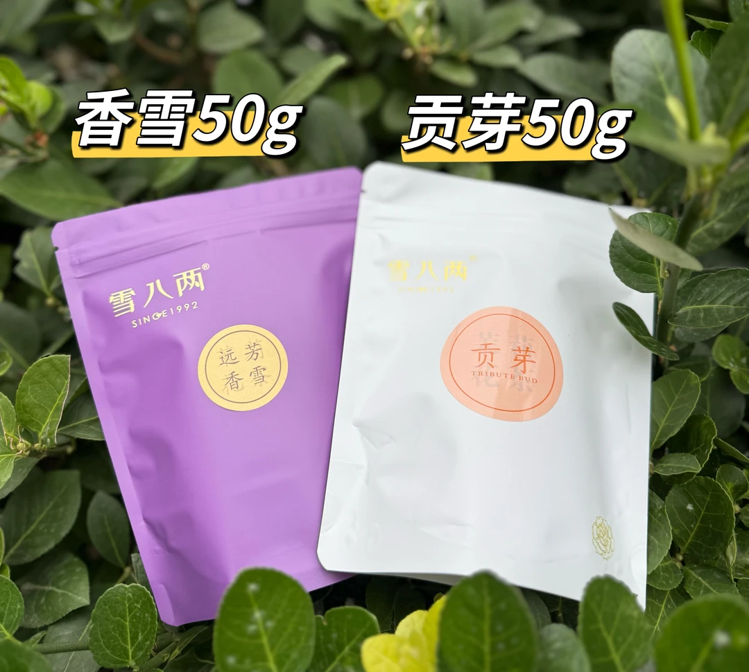 雪八两【高端组合】茉莉香雪50g+远芳贡芽50g 高端茉莉花茶 共100g