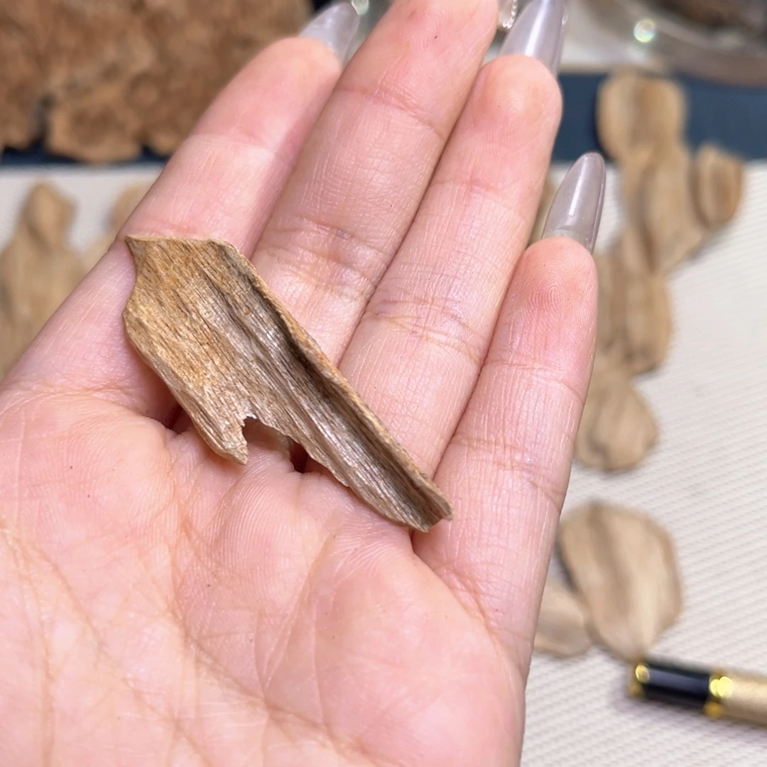 玩***木香榧木广西虎斑棋0.7克