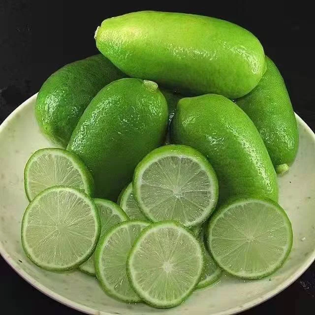 【正宗香水柠檬】海南品种无籽香水青柠檬新鲜水果奶茶店冷饮泡水