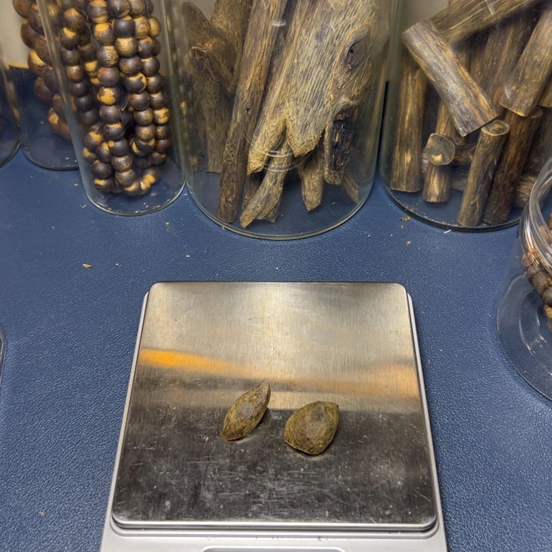 树脂制品宋*咪海南白棋树丁料2克